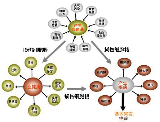 氢气呼吸机适合哪些人群？