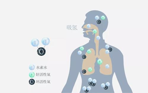 喝氢水预防运动疲劳，提高心肺功能