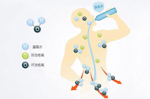 日本的素水杯有什么用 氢气水帮助调节平衡人体体质