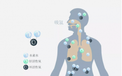 原来，我们体内就有氢气，那还需要吸氢吗？