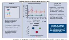 脊髓缺血损伤，氢气能帮忙预防吗？