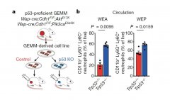 氢分子抑制人乳腺癌炎性微环境的实验研究