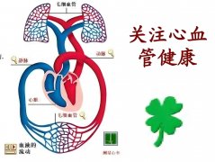 氢气：心血管健康的神秘守护者