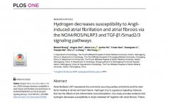 氢气：守护心脏健康的新星——揭秘其降