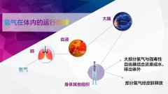 喝氢水氢分子真的进入身体里了吗？日本做这样一项研究......