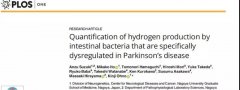 帕金森病最新研究:肠道菌群产生氢气的能力