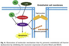 氢分子对于重症肺炎治疗研究